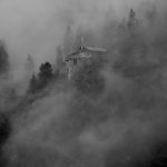 grayscale photography of foggy forest