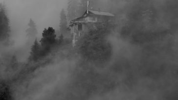 grayscale photography of foggy forest
