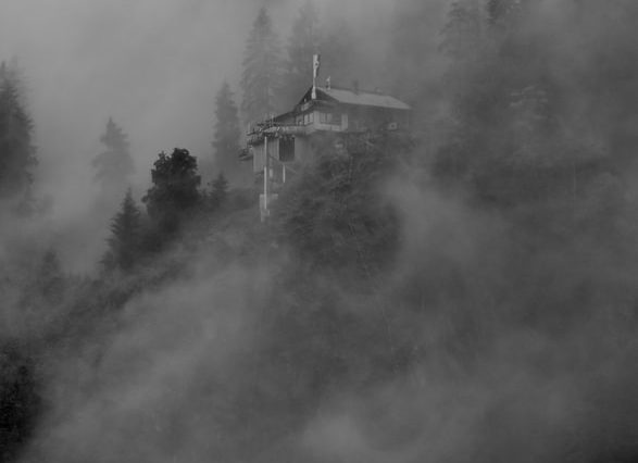 grayscale photography of foggy forest
