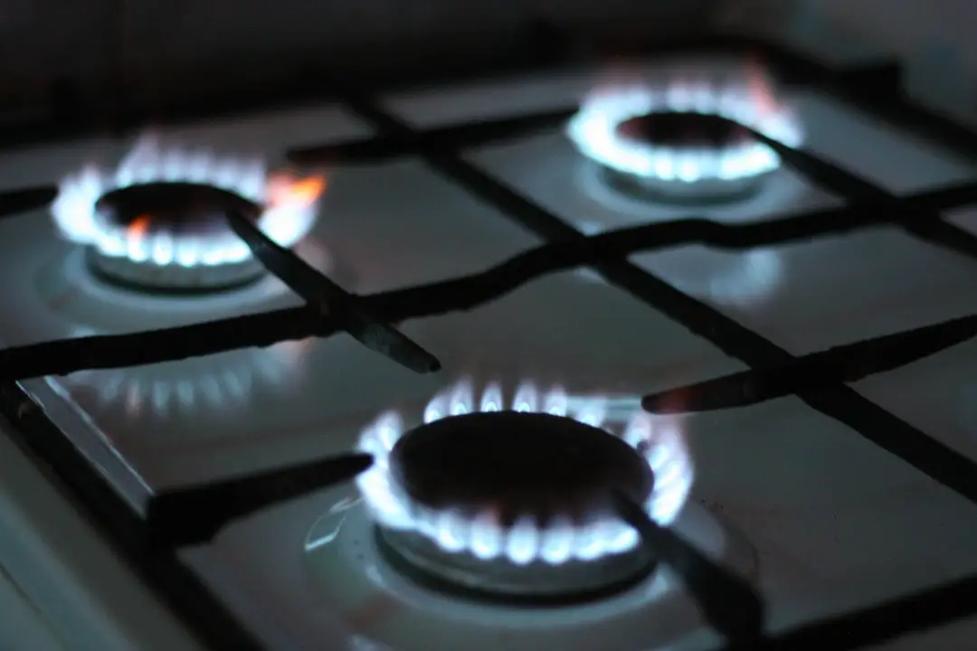 Gas stove ban DEFEATED! Ninth circuit court holds strong Patriot