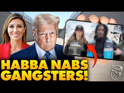 Alina Habba's Arrests and Outfit Dazzle the Internet - Patriot Powered