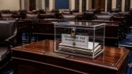 Senate’s Pay Escrow Is a Rule, Not a Law - Starts After Nov 2026