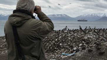 Likely Patient Zero Leo Schilperoord Linked to Cruise Hantavirus