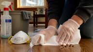 Illinois Hantavirus Scare Linked to Rodents, Not Cruise Ship