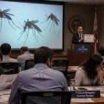 Illinois DEI Video Compares Cops and Whites to Mosquitoes