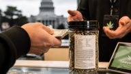 States Cash In on Weed While Hiding Health Warnings