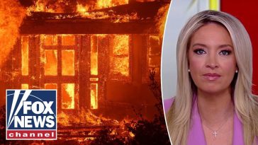 McEnany: We’re seeing radicalization emerge