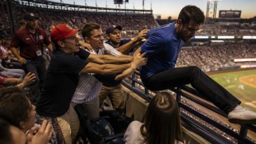 Fans Rescue Dangling Man at Busch Stadium While Security Fails