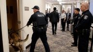Pirro video shows police K9 in side room omitted from complaint