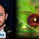 ‘We need serious investigations’: Epidemiologist on lone star ticks causing alpha-gal syndrome