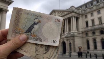 Bank of England erases Churchill for puffins after focus groups