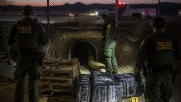 Authorities Uncover Massive Cocaine Smuggling Tunnel Along Border