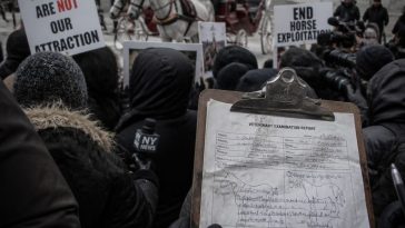 NYC Activists Rush Ban After Preliminary Necropsy, Ignore Facts