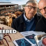 Revealed: Bill Gates TICK CHAOS Has Rogan Asking What They’re REALLY Hiding Now?