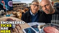 Revealed: Bill Gates TICK CHAOS Has Rogan Asking What They’re REALLY Hiding Now?