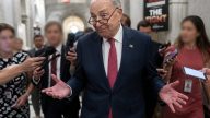 Schumer Shrugs Off Platner Nazi-Tattoo and Sexting Scandal