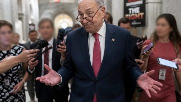 Schumer Shrugs Off Platner Nazi-Tattoo and Sexting Scandal