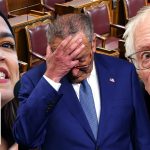 ‘OUR PARTY IS DIVIDED’: Ex-Clinton advisor says Democrats need a MAJOR ‘reset’