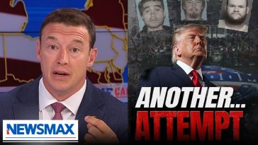 Carl Higbie: 'Rabid leftists' want to take out Trump because 'they aren't capable of winning'