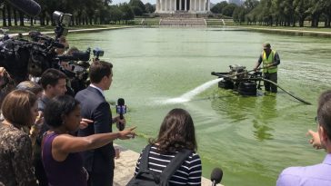 Greg Gutfeld Slams Left's Algae Obsession as Manufactured Outrage