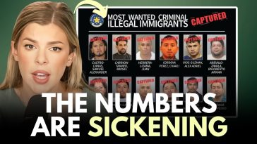 SHOCK REPORT: These Crime Rates for Illegal Aliens are Truly Insane...