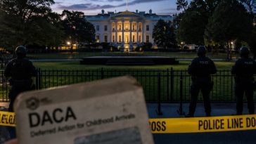 Alleged White House UFC Plot Ringleader Was Shielded by DACA