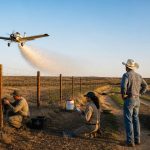 Calmer Border Lets USDA Step Up Fight Against Screwworm