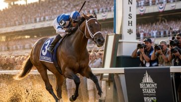 Golden Tempo Skips Preakness, Charges From 12 Lengths to Belmont Win