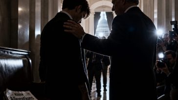 Schumer Backs Graham Platner Despite Abuse Allegations