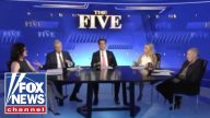 ‘The Five’: President Trump says roadways have been ‘terrorized’ by illegal immigrant drivers