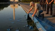 Olympian Indicted for Ripping Up Lincoln Memorial Reflecting Pool