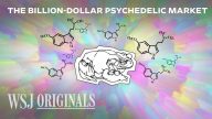 The Race to Commercialize the World’s Most Powerful Psychedelic | WSJ