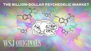The Race to Commercialize the World’s Most Powerful Psychedelic | WSJ