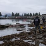 Seldovia Plane Crash Kills 4; NTSB Chief Clint Johnson Opens Probe