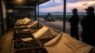 Cartel Extortion Halts USDA Avocado Inspections, Prices Set to Rise