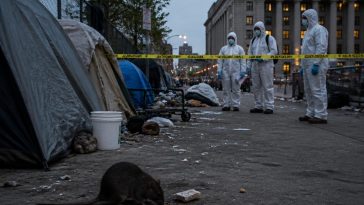 Berkeley Encampment Tied to Leptospirosis; Court Orders Hamper Cleanup