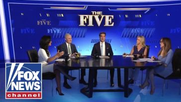 ‘The Five’: Far-left radicals are on the ballot as Florida holds primaries…