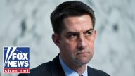 ‘DIVIDE AND INFLAME’: Sen Cotton WARNS of foreign ‘enemies’ allegedly funding radical groups