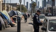 GOP Chair Gets $70 Ticket as LA Streets Turn Into Homeless Camps