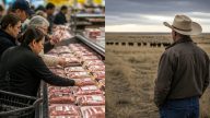 President Trump’s 90-Day Beef Import Plan: Relief or Rancher Disaster?