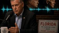 Vindman Clip: He Called President Trump and President Putin Enemies