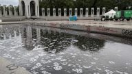 Vandals Douse WWII Memorial With Soap and Spray Paint Graffiti
