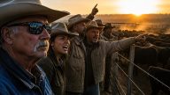 Trump's Tariff-Free Beef Plan Sparks Rancher Revolt