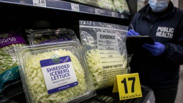 First US Cyclospora Deaths Linked to Taco Bell Lettuce