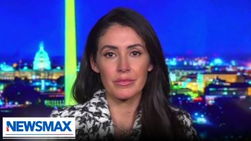 ‘There does need to be an off switch’: Rep. Anna Paulina Luna on A.I.