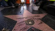 Vandals Scratch Dolly Parton Walk of Fame Star; No Arrests Yet