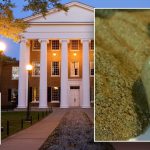GRAVE warnings issued on kratom after student deaths