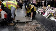 Vandals Scratch Dolly Parton's Hollywood Star — No Arrests Yet