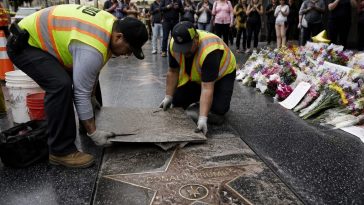 Vandals Scratch Dolly Parton's Hollywood Star — No Arrests Yet
