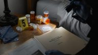 Coroner: Hayden Panettiere Killed by Fentanyl and Drug Cocktail